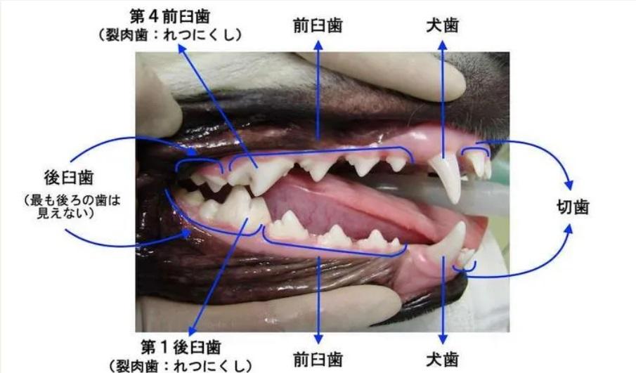 タイトルなし.jpg