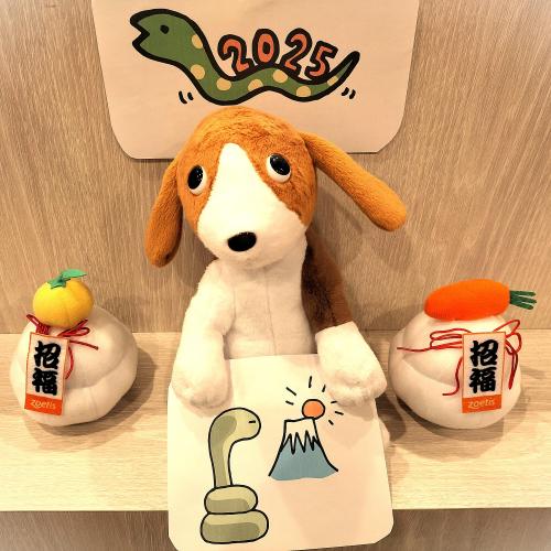 🐲⇒🐍2024年も大変お世話になりました🐲⇒🐍》｜院長ブログ｜うぇる