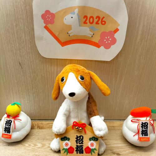 🐍→🐎＜🎍2025年、大変お世話になりました🎍＞🐍→🐎｜院長ブログ｜う